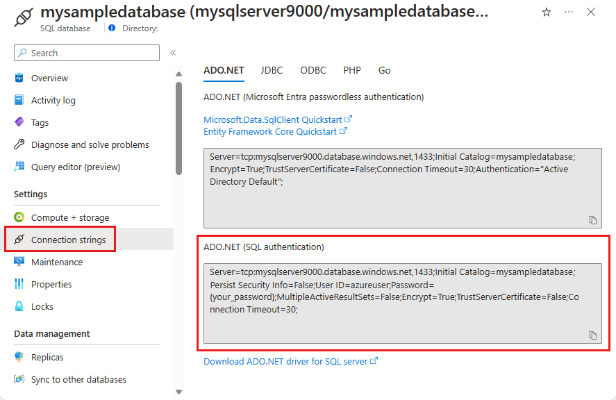 Ein Screenshot der ADO.NET-Verbindungs-Zeichenfolge.