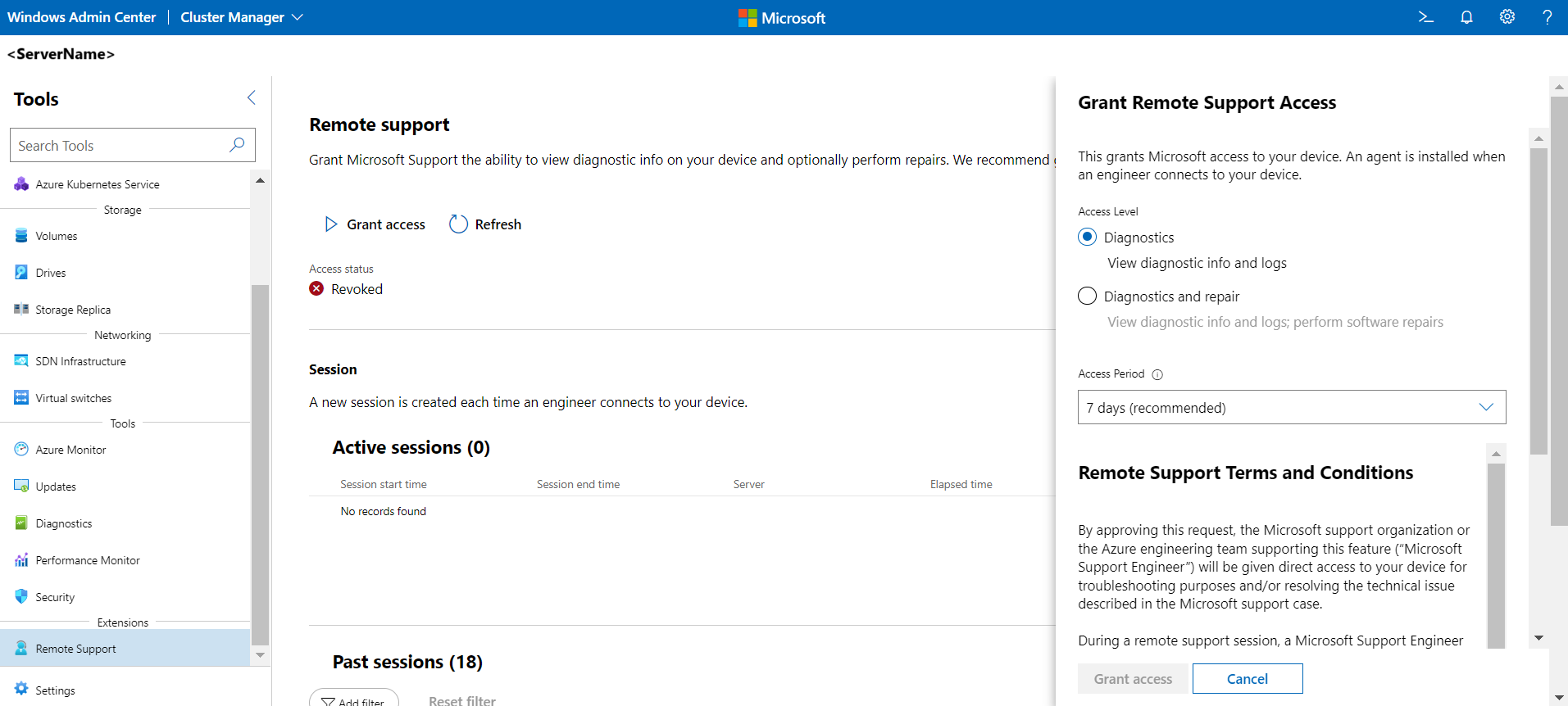 Screenshot of grant remote support access options.