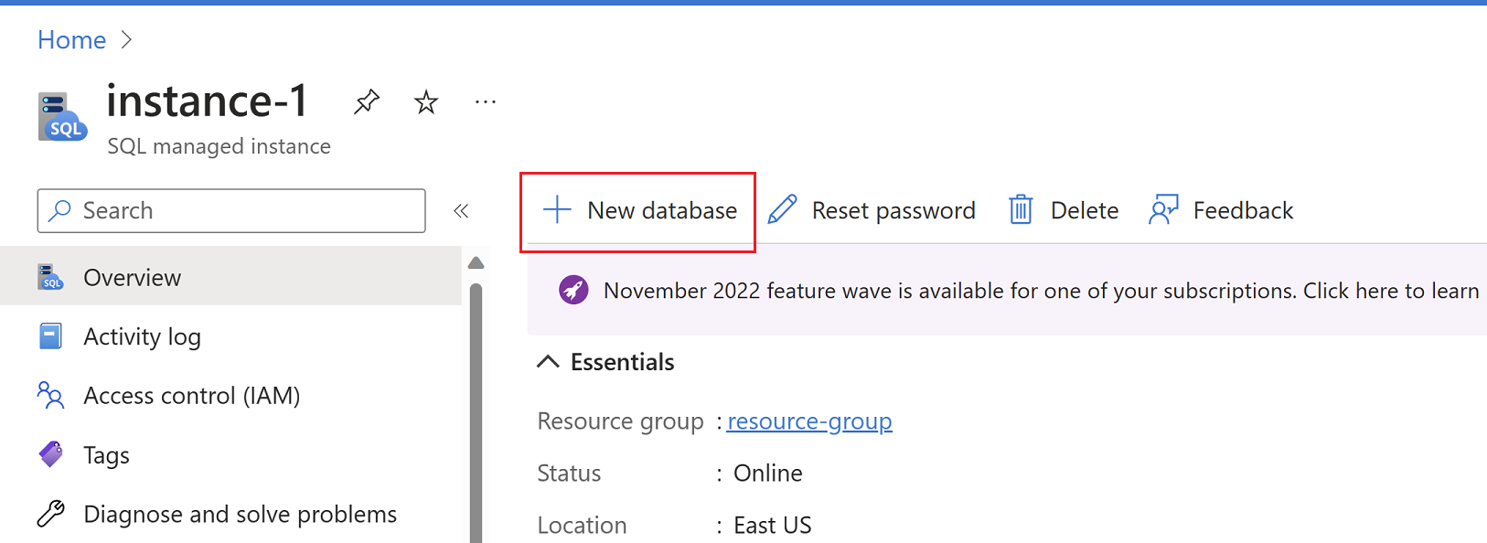 Screenshot that shows the SQL Managed Instance overview pane in the Azure portal, with adding a new database selected.