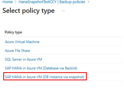 Screenshot that shows a list of policy types.