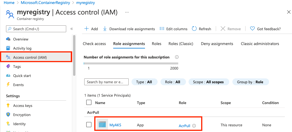 Screenshot of assigning role to multitenant app.