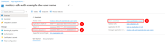 A screenshot after the app registration has been completed with the ___location of the application ID, tenant ID.