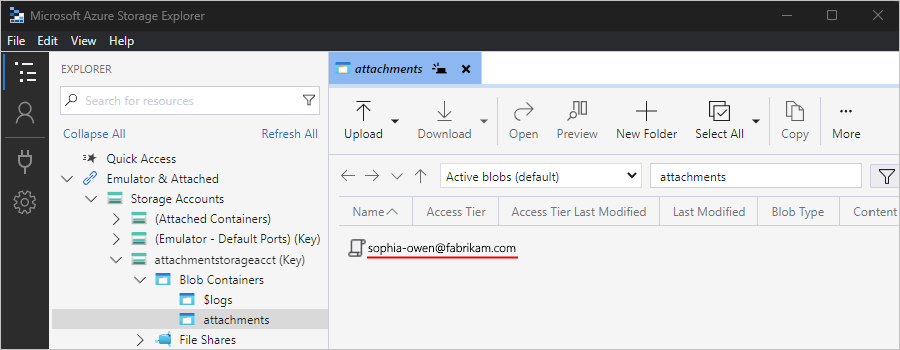 Screenshot shows Storage Explorer with only the saved email.