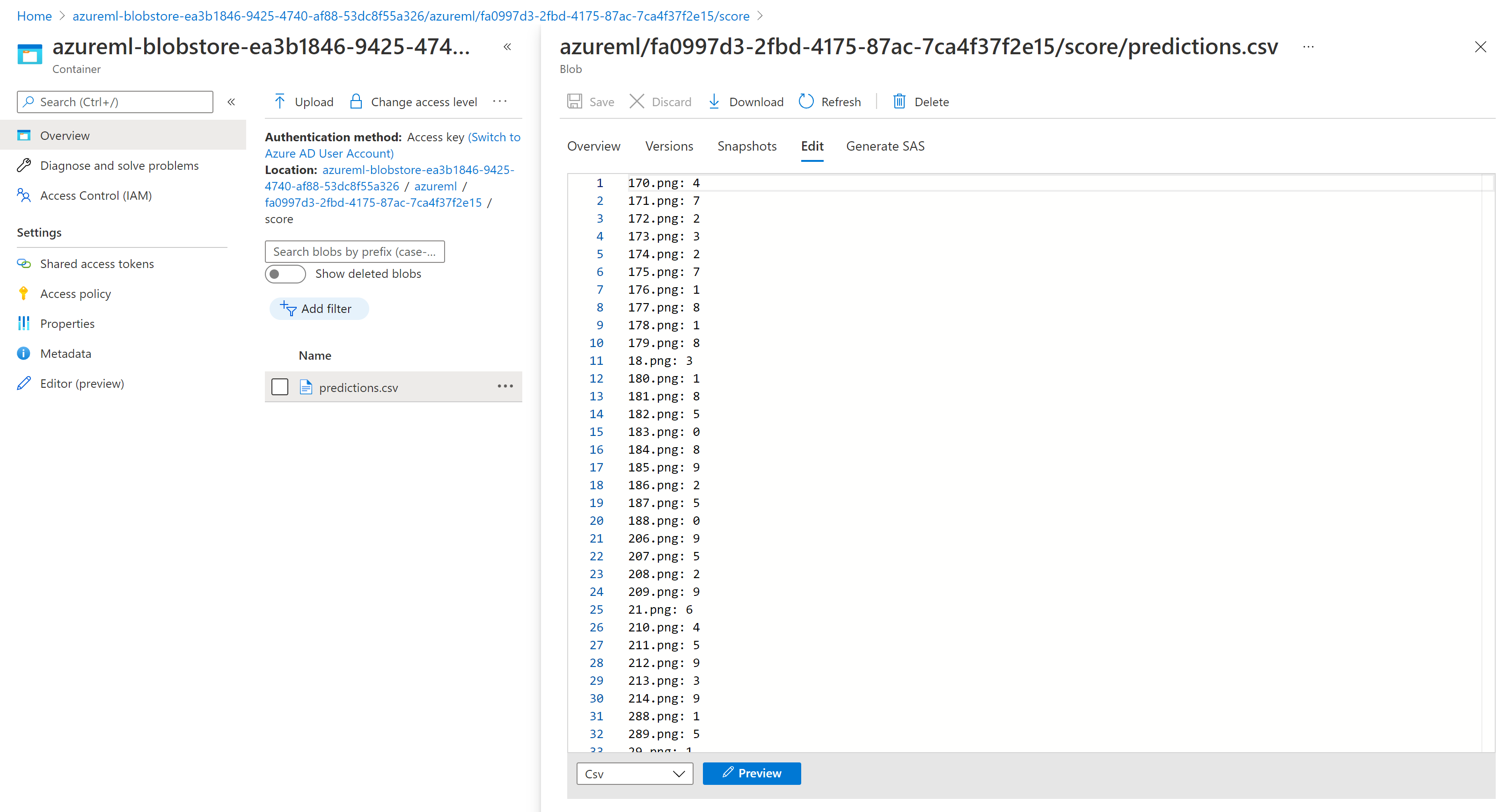 Screenshot of the scoring output.