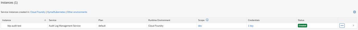 Screenshot that shows creating an instance of the BTP subaccount.