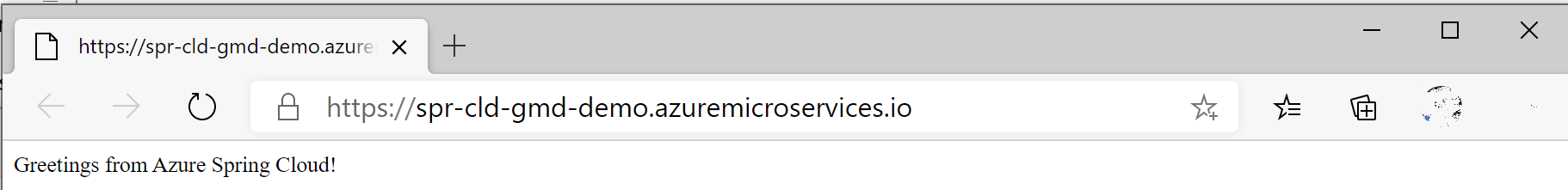Screenshot that shows the URL of the deployed application.