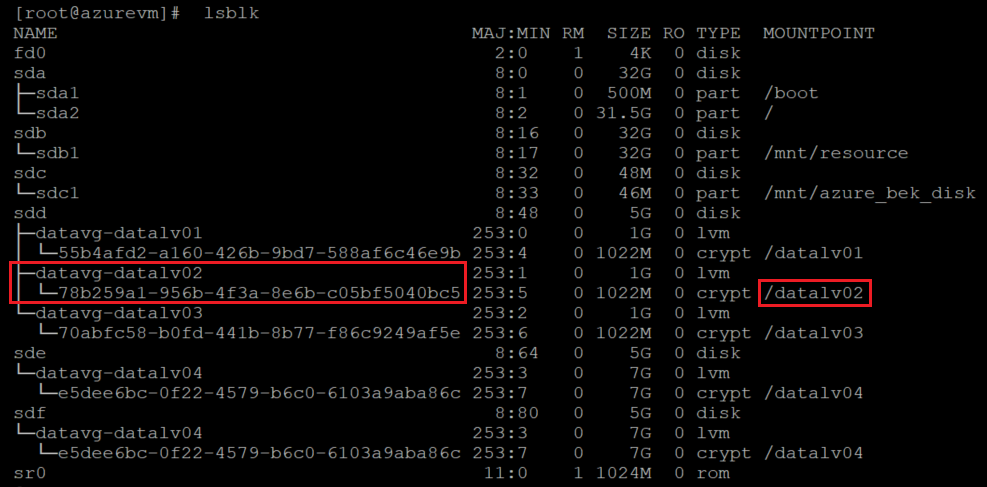 Screenshot showing the result of the l s b l k command with the command and result highlighted.