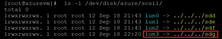 Screenshot showing the code that checks the disk list with the results highlighted.