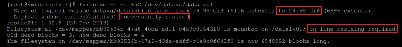 Screenshot showing the code that resizes the L V with the results highlighted.