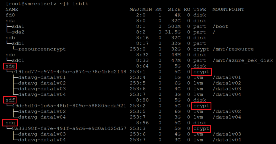 Screenshot showing an alternative code that checks the size of the disks with the results highlighted.