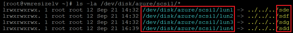 Screenshot showing the code that creates a file system with the results highlighted.