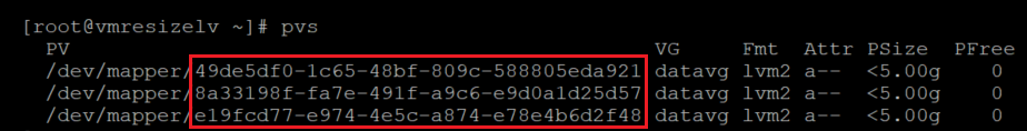 Screenshot showing the code that checks information about the physical volume with the result highlighted.