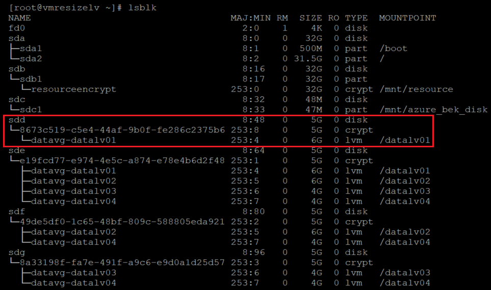Screenshot showing the code that verifies that the LVM layer is on top of the encrypted layer with the result highlighted.