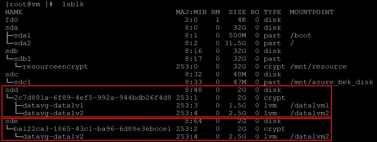 Screenshot showing the code that identifies the encrypted disks with the results highlighted.