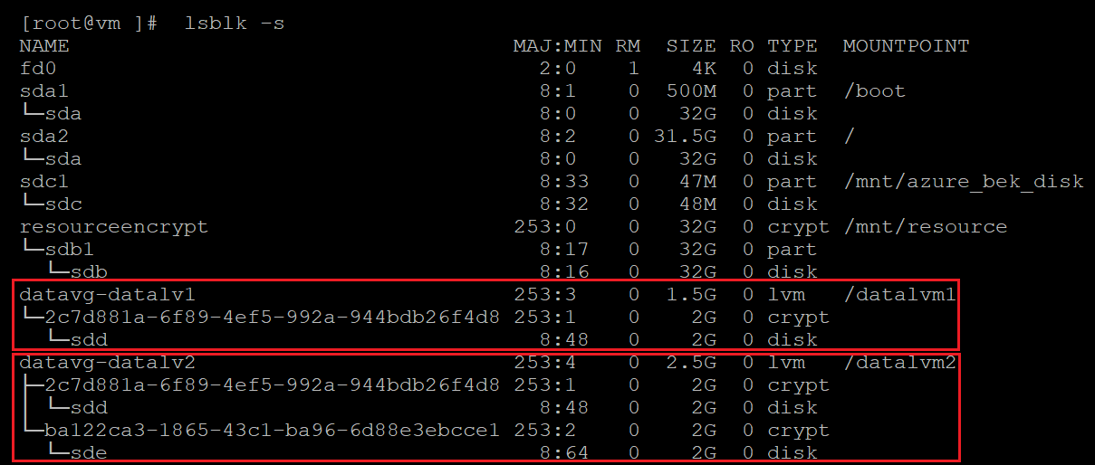 Screenshot showing alternative code that identifies the encrypted disks with the results highlighted.
