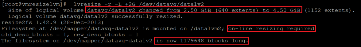 Screenshot showing the code that resizes the local volume with the results highlighted.