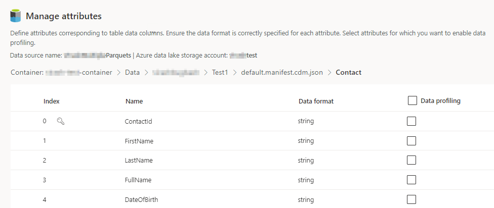 Dialog box to select data profiling.