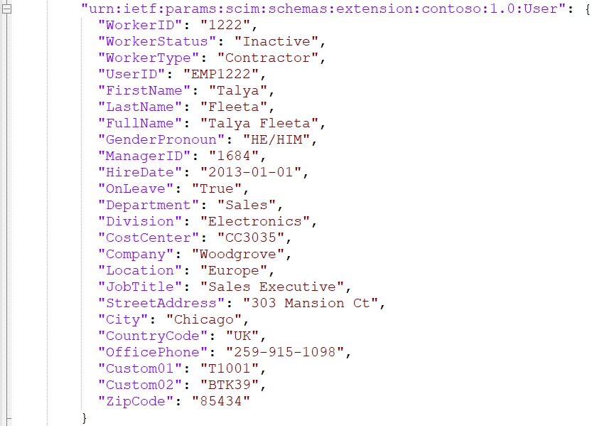 Screenshot of user details under custom schema.