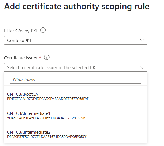 Screenshot of CA scoping select CA.