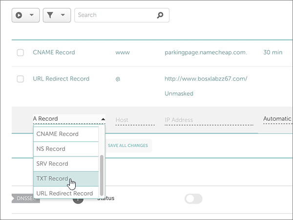Select TXT Record for the ___domain verification TXT record.