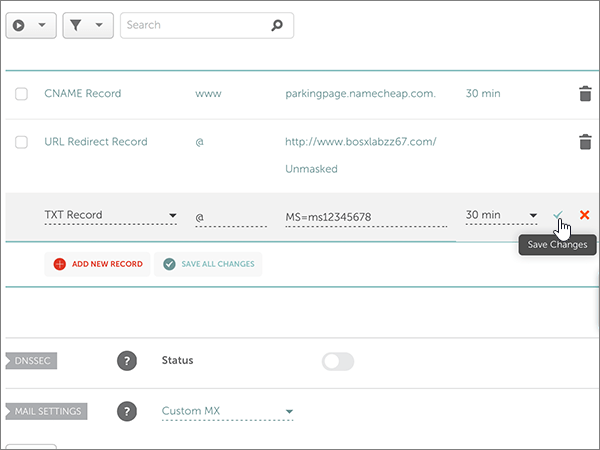 Screenshot of the the Save Changes control for the ___domain verification TXT record.