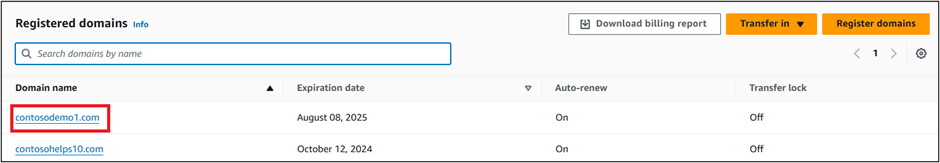 Screenshot of Registered Domains where you select the Domain Name for the ___domain verification TXT record.