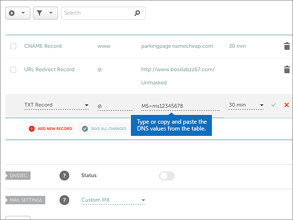 Copy and paste the values from the table for the ___domain verification TXT record.
