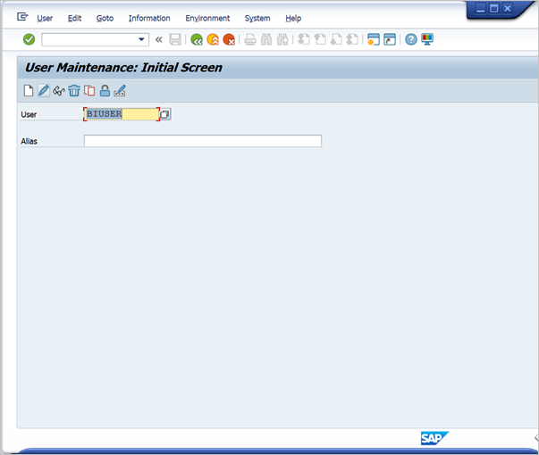 Screenshot of SAP BW User maintenance screen.