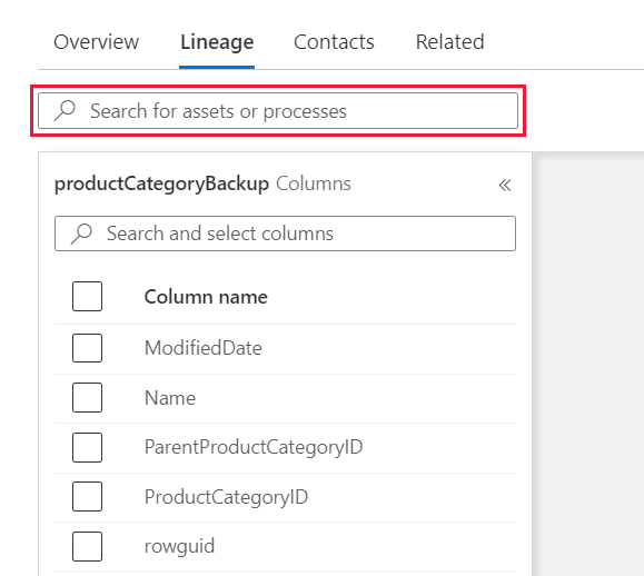 Screenshot showing data asset nodes by name on the lineage page.