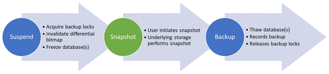 Diagram that shows process from suspend, to snapshot, to backup.
