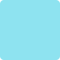 Color swatch of SystemColorWindowTextColor used for background or accent color of UI that is selected, interacted with (hover, pressed), or in progress.