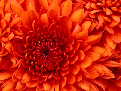 the second image before the effect.