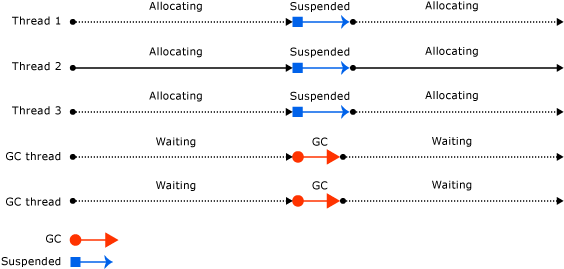 Thread del Garbage Collection del server