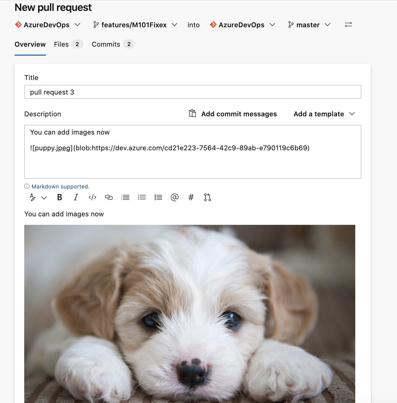 pull request の作成時に添付ファイルを追加します。
