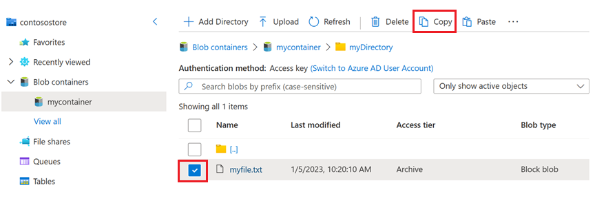 Screenshot of the checkbox next to an archived blob and then the ___location of the copy button.