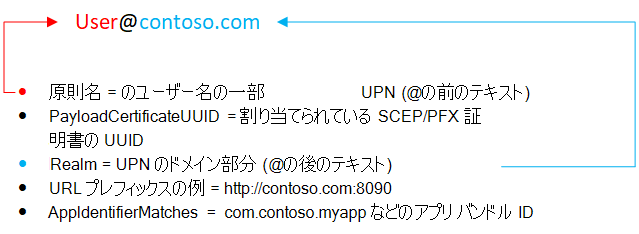 Microsoft Intuneの iOS/iPadOS ユーザー名 SSO 属性