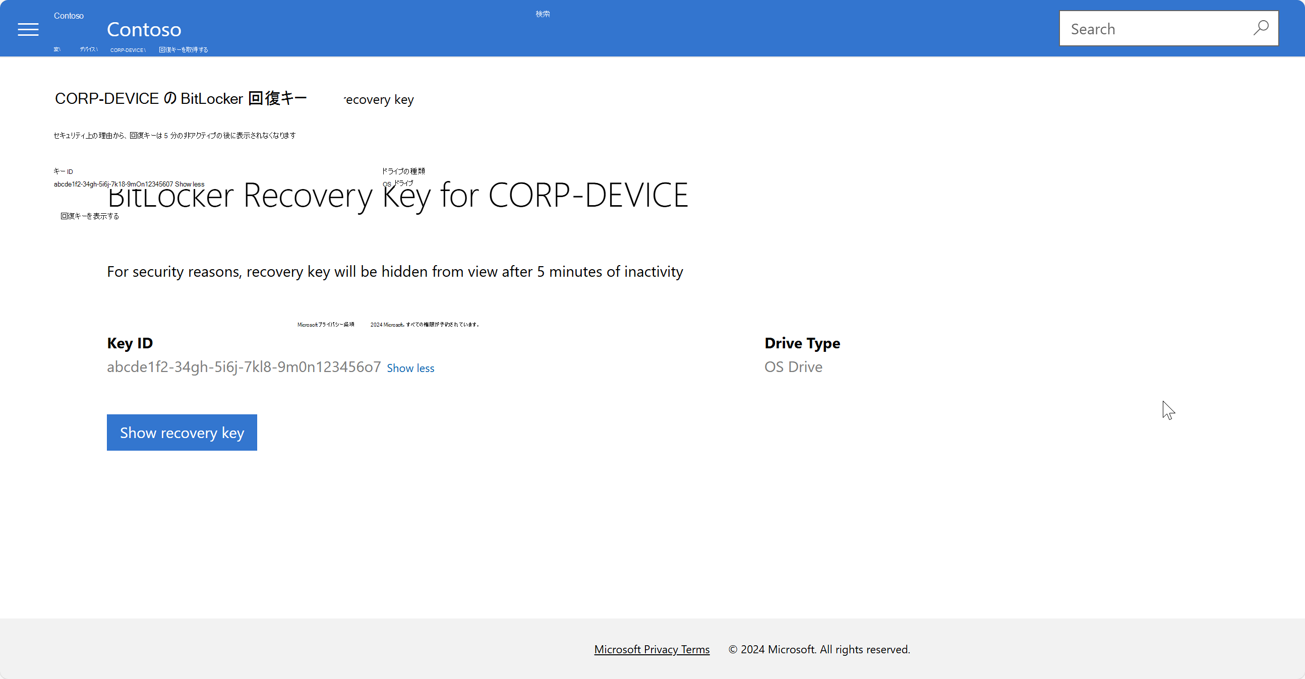 Intune ポータル サイト Web サイトの [BitLocker 回復キー] ページのスクリーンショットの例。
