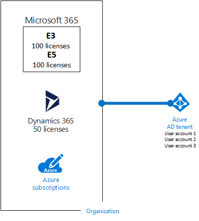 同じMicrosoft Entra テナントを使用する複数のサブスクリプションを持つorganizationの例。