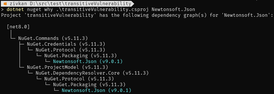 dotnet nuget why example