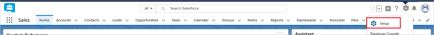 Salesforce セットアップ