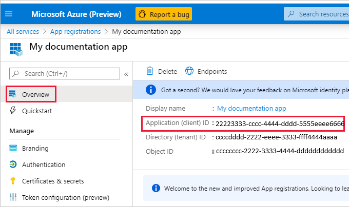 新しいアプリの [概要] ページのスクリーンショット。アプリケーション ID は解読不可能であり、強調表示されています。