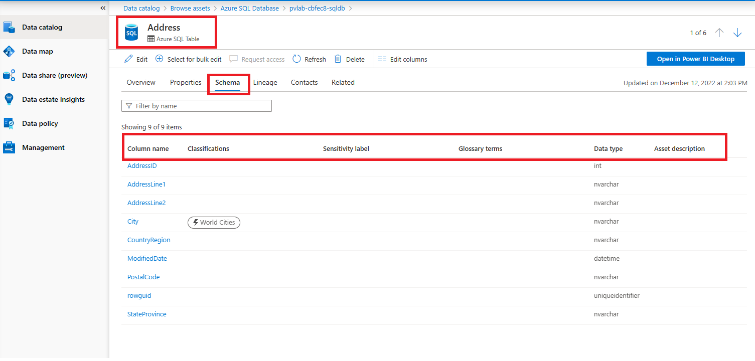Azure SQL Table アセットの [スキーマ] タブのスクリーンショット。