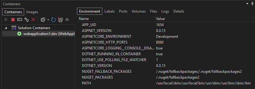 Visual Studio の [コンテナー] ウィンドウのスクリーンショット。左側のウィンドウでコンテナーが選択され、右側のウィンドウで [環境] タブが選択されています。