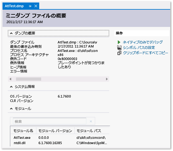 ミニダンプの概要ページを示すスクリーンショット。