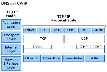 TCP/IP モデル内の DNS を示す図。DNS が TCP/IP のさまざまなレイヤーとプロトコルにどのように適合するかを示しています。