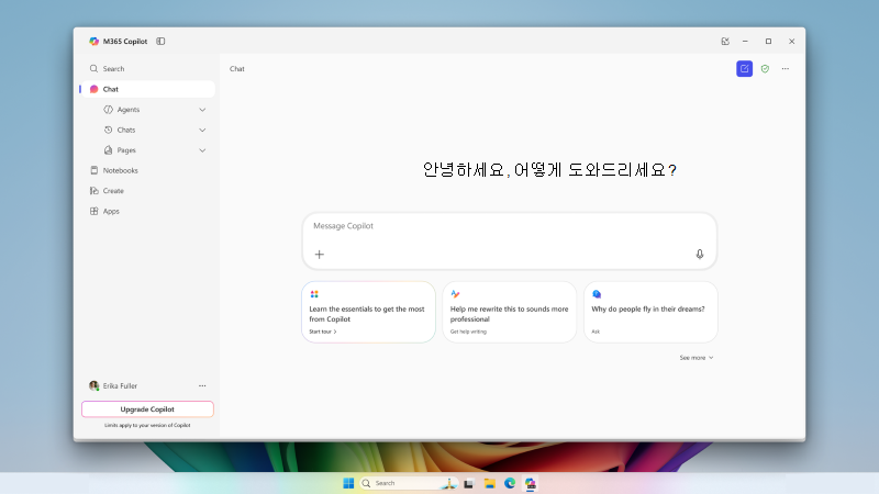 Microsoft 365 Copilot Chat 보여 주는 스크린샷