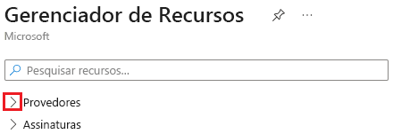 Captura de tela da expansão da seção Provedores no Gerenciador de Recursos.