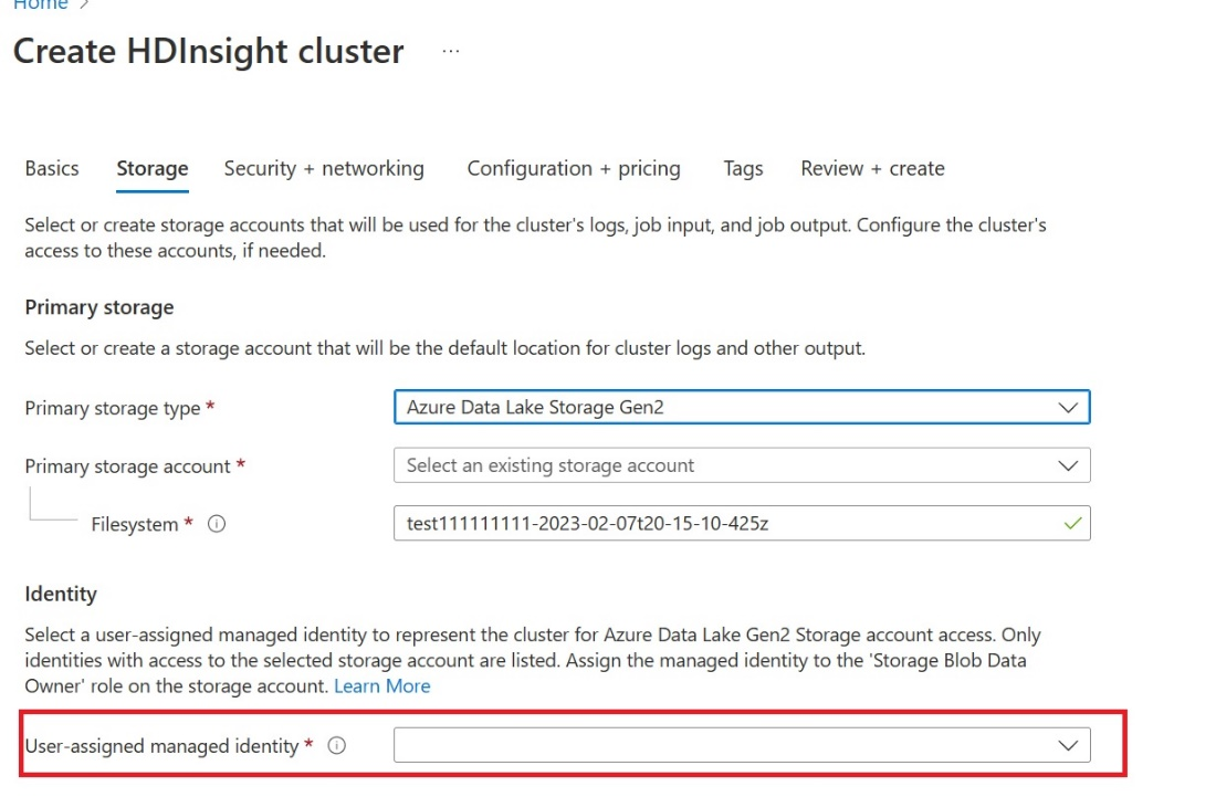 Captura de tela mostrando onde inserir a identidade gerenciada atribuída ao usuário na tela Armazenamento.