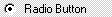 Captura de tela visualStudioHTMLpageRadioButton