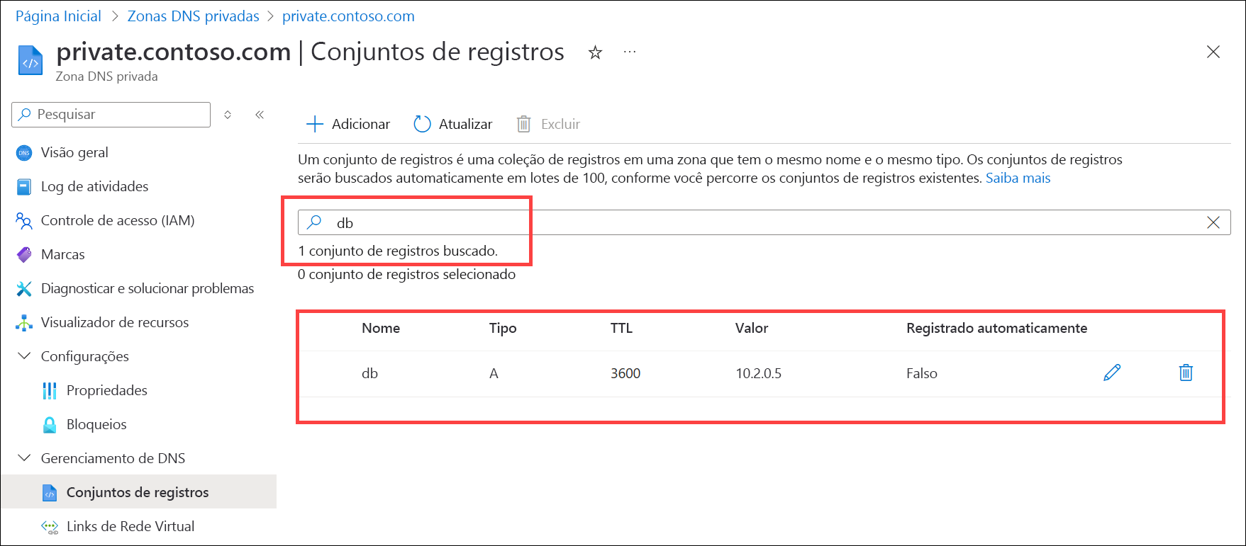 Captura de ecrã da procura de um registo DNS.